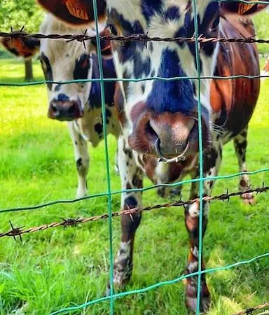 Magnificent 18th Century, 5 Star Luxury 펜션 Melleray-la-Vallée